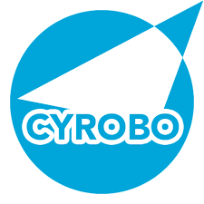 Cyrobo Clean Space Pro 7.84 Crack & Patch Free Download